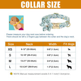Dog Personalized ID Tag Collar